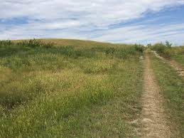 AVVISO PUBBLICO per la concessione in affitto di terreni agricoli di proprietà comunale.
